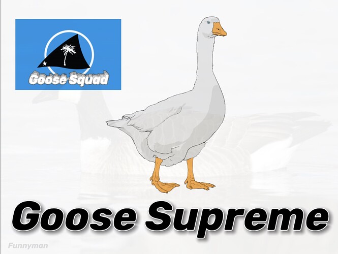 tsp-goose