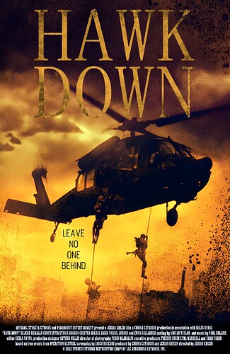 Hawk Down Poster