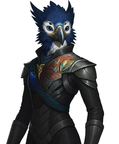 Kaeryxian High Admiral