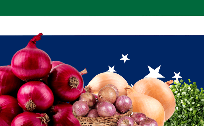 flag (8)