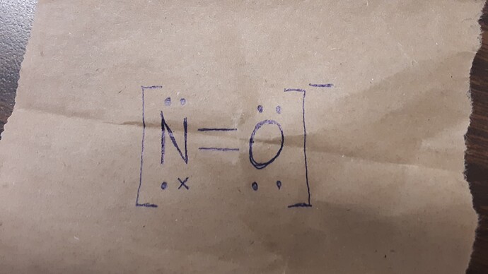 20231211_110828