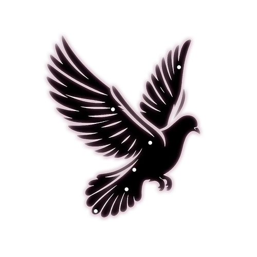 The Concert Raven(2)