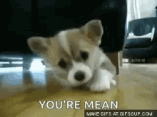 Meany GIFs | Tenor