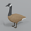 Ontarian_goose