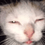 tnsprfh2qxwzmnjuh281
